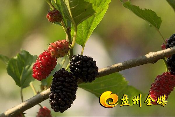 1_4be9410382bb49e8b5a487b3ffde0823.jpg