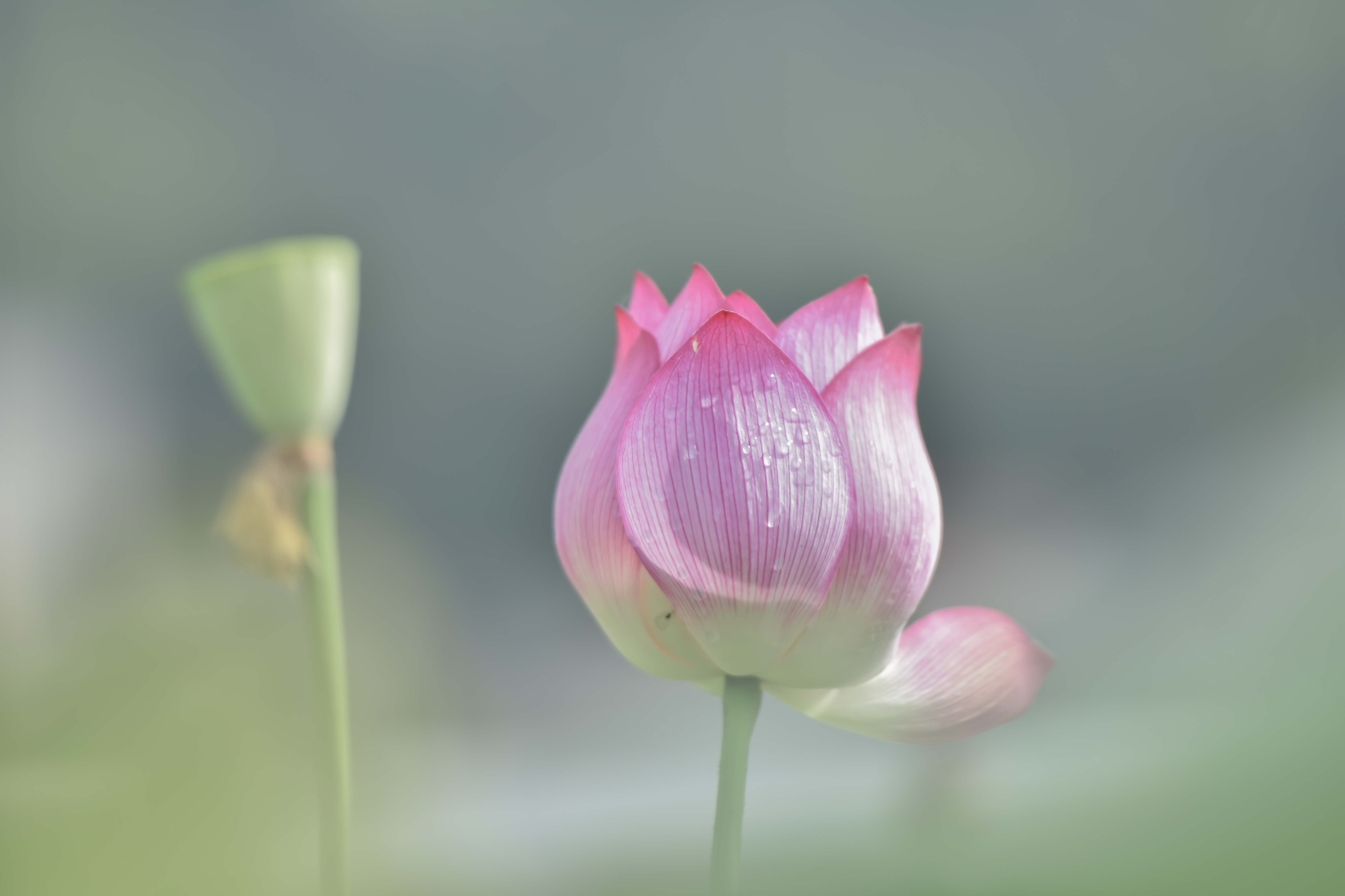 b2946f615afe49928ec84778f2d08da4.jpg
