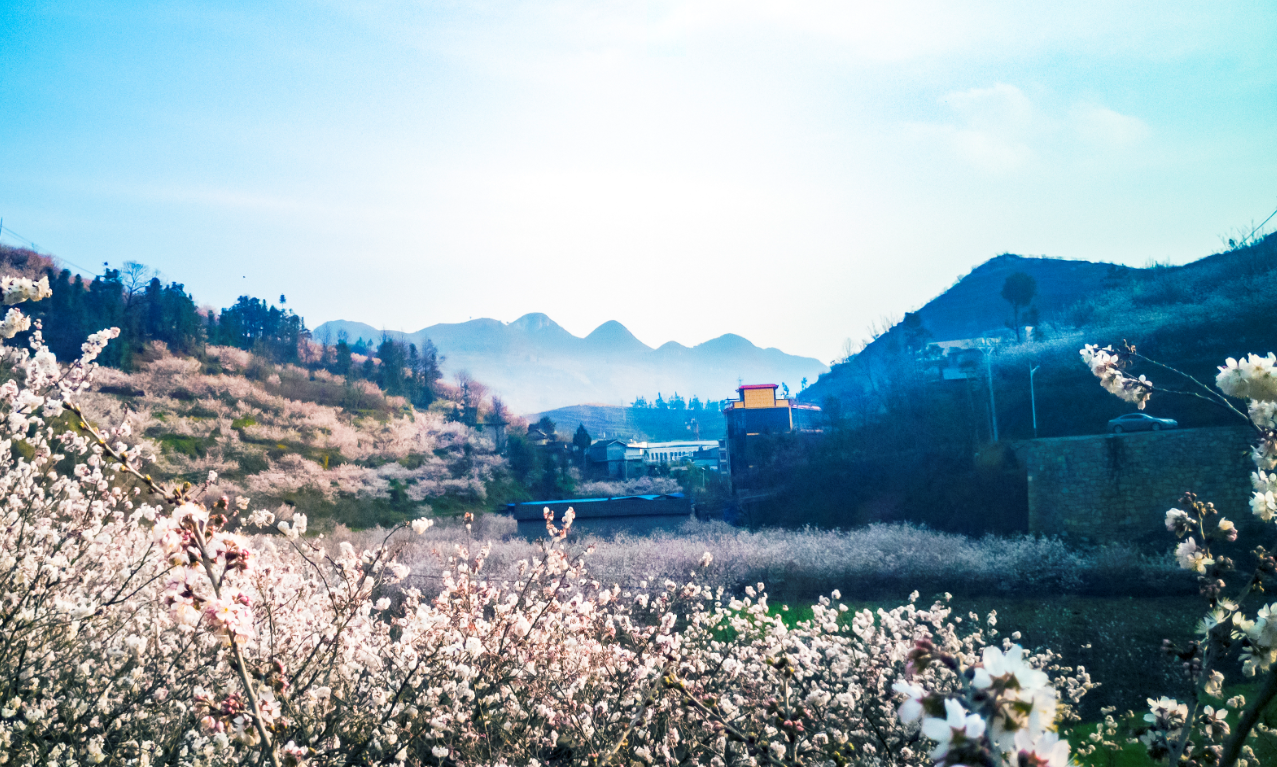 5a15cf3292f440fbb5aa7aa615500183.png