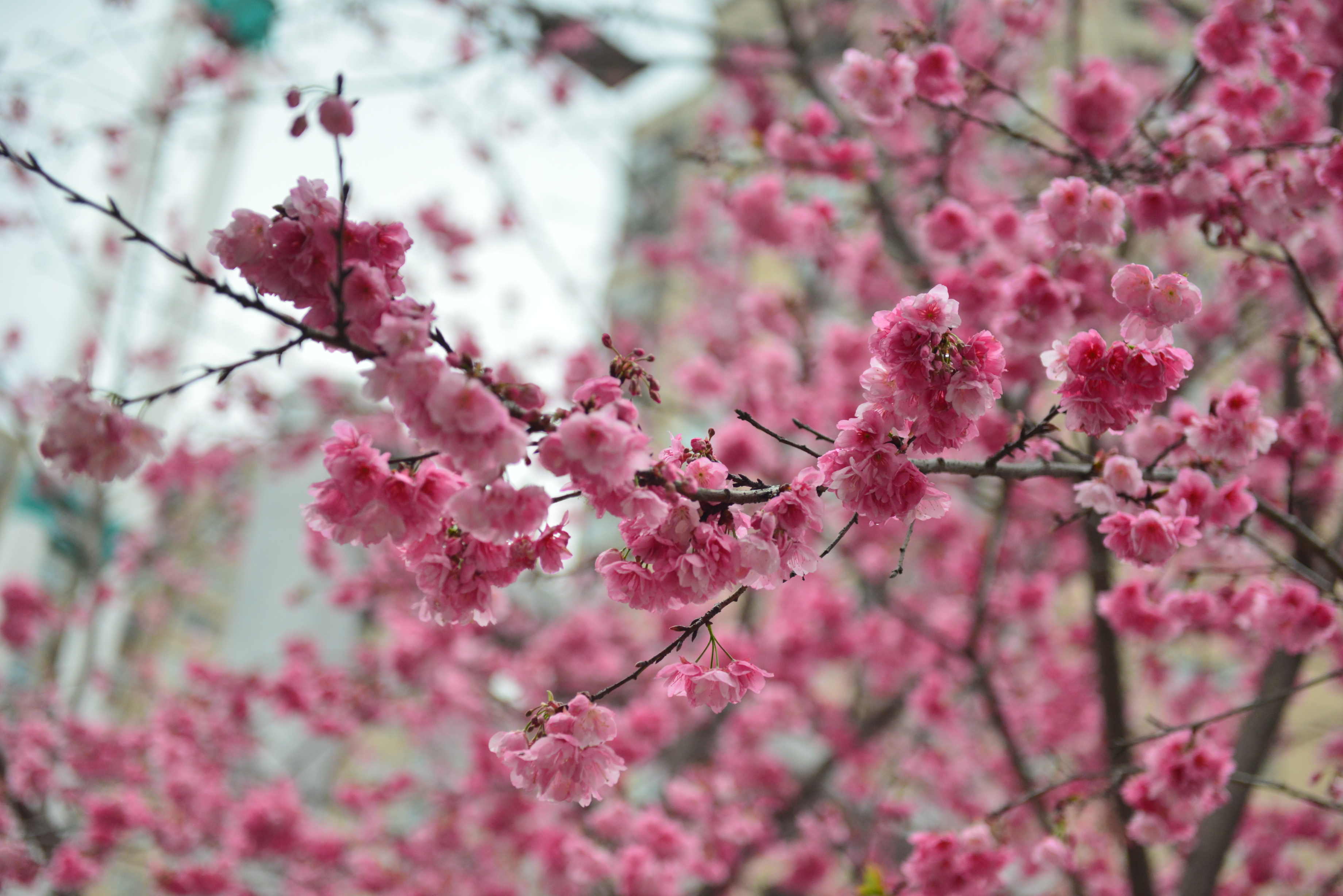 fd387d0e0d154ecbbeeabbb2625754aa.jpg