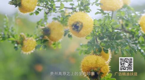 a82e1889fab3497680802aee2a6fc425.jpg