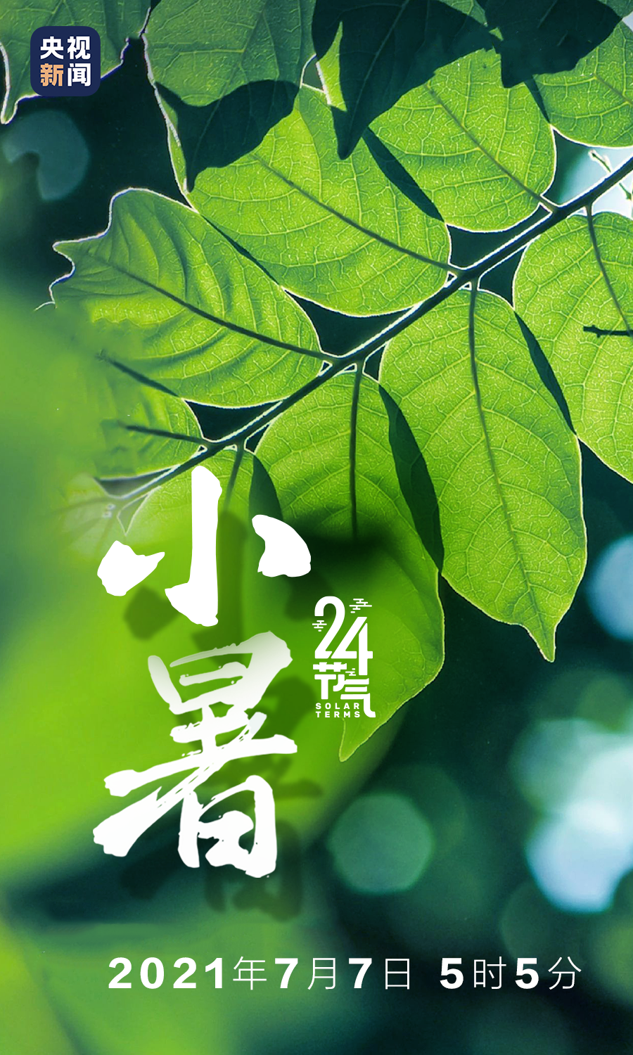 45c5e7330d5549fa9095732faaa5181a.png