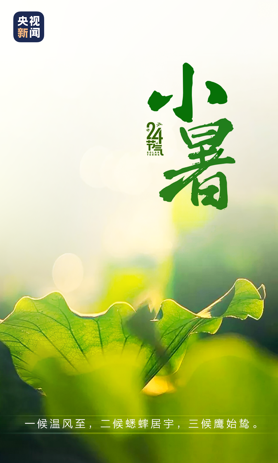59a46239f1e04f2dba9f572e6e81501e.png