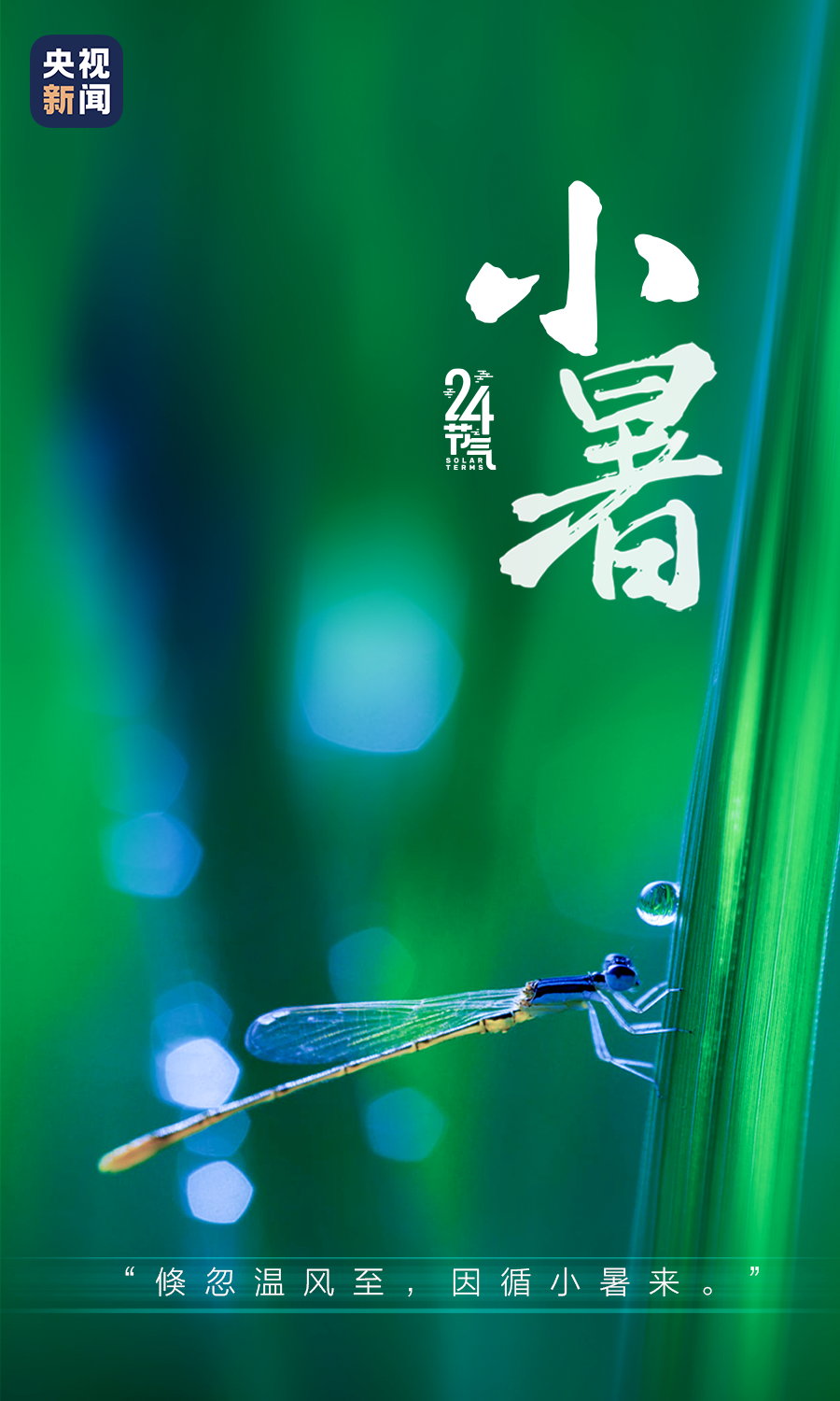6af357911f4e46c39476a283b71fa945.png