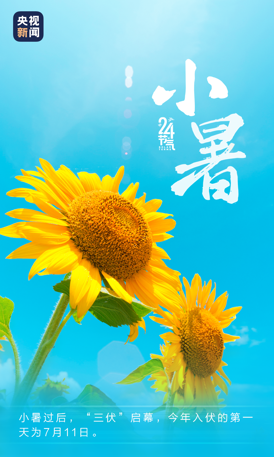 c1070a50dbf54921b6b140115f2fa5b2.png