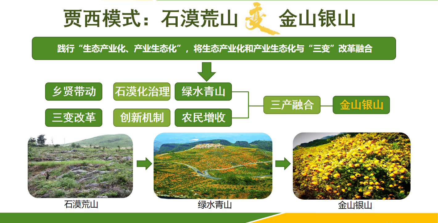 8db92a3afb8246c3b7713cde9f9fc120.png