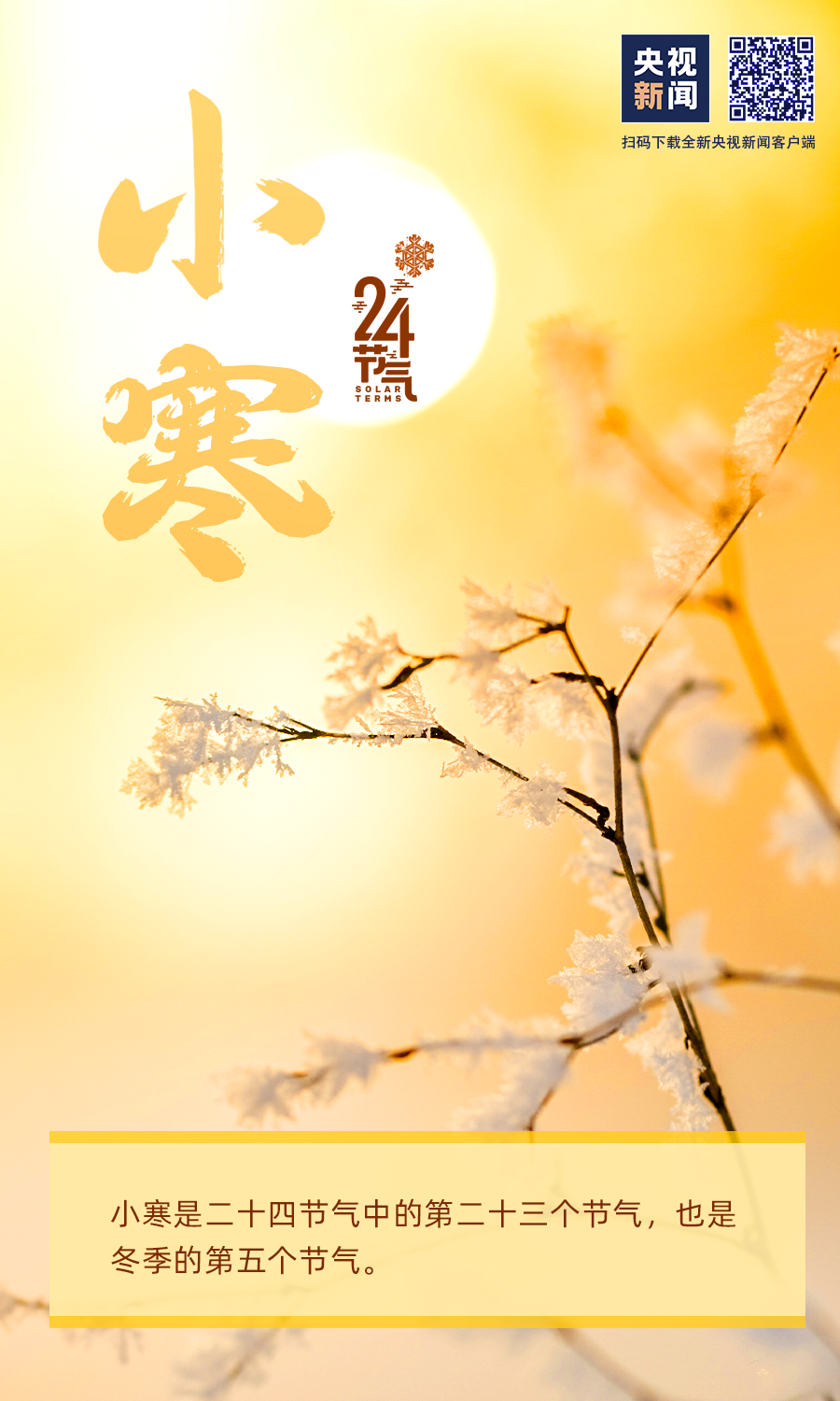 8022c2160c8447c99b8fa037c6b03703.png