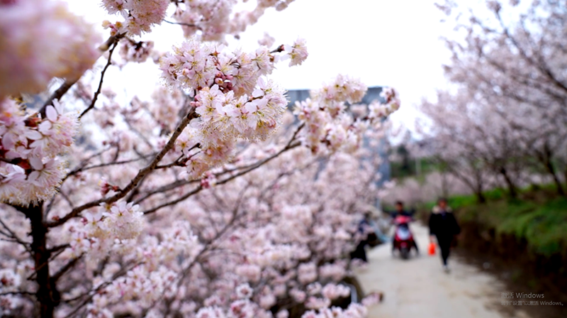 7ff11d20b8da4efd952836c9f9b2508b.png