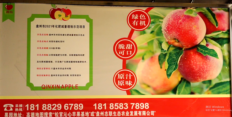 2f4fb2b2967a42db854e5f71943c99f2.png