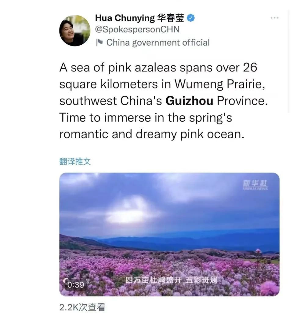 11d83b3e9c704f4ba555fa8f8147eeae.jpg