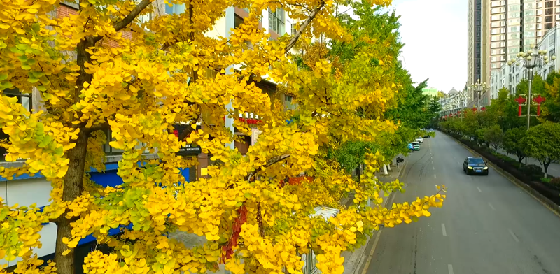 e7dc9053fad04239a52ba68cc8bb399d.png