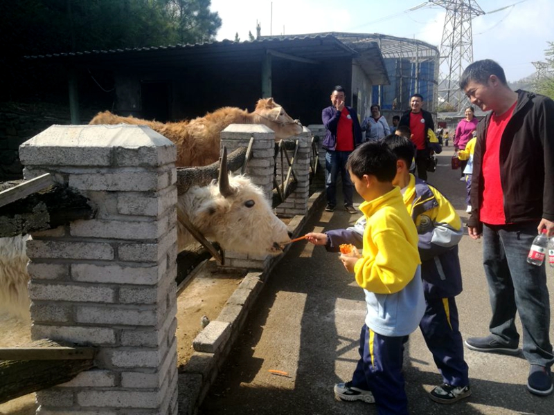 c8432a77047e4cc68fc1d3a16762df90.jpg