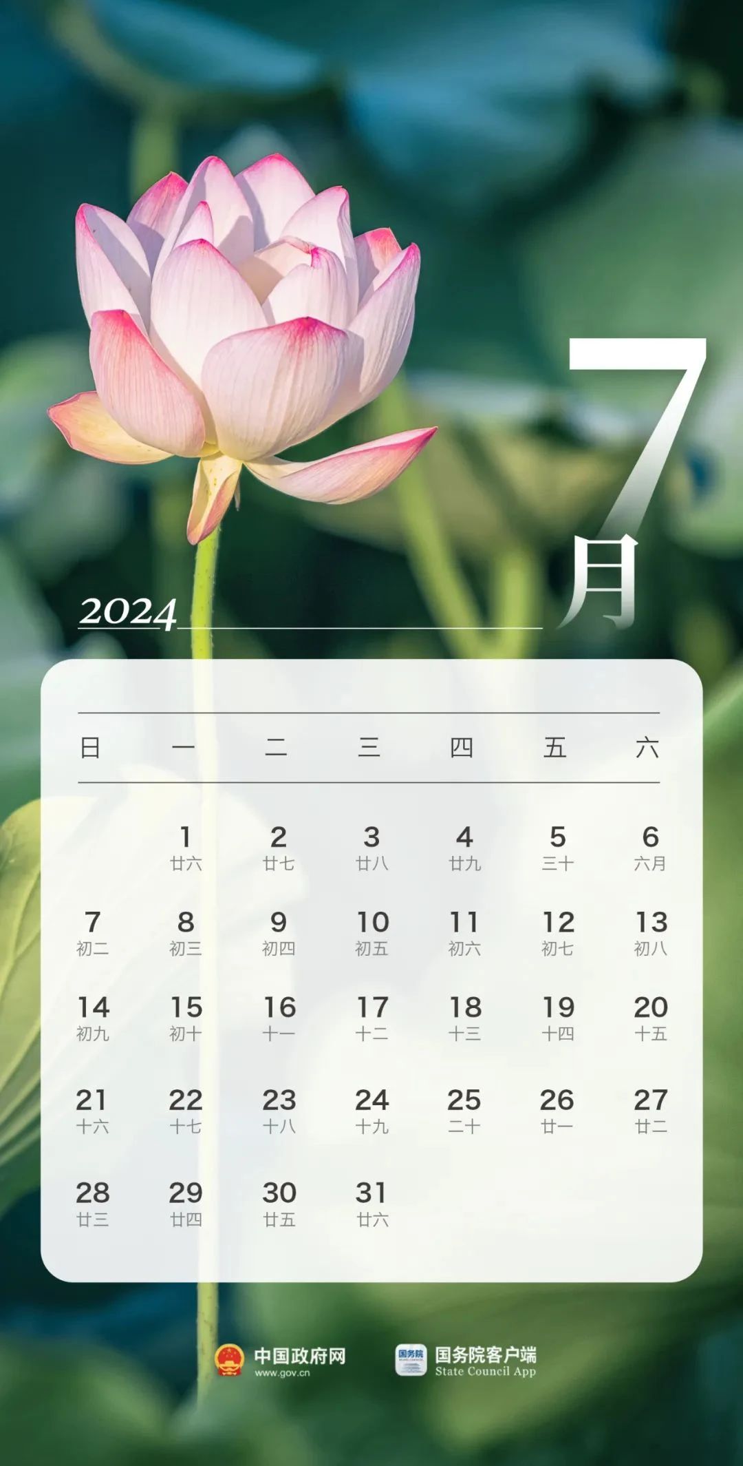 f715b4be53d94239a31b5581e9c867e6.jpg